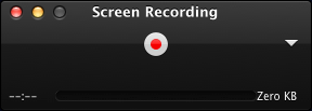 Screen Recording panel